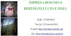 bertolini lucio