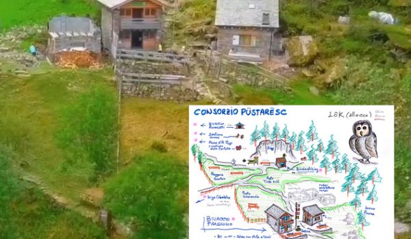 parco frasnino-birdwatching