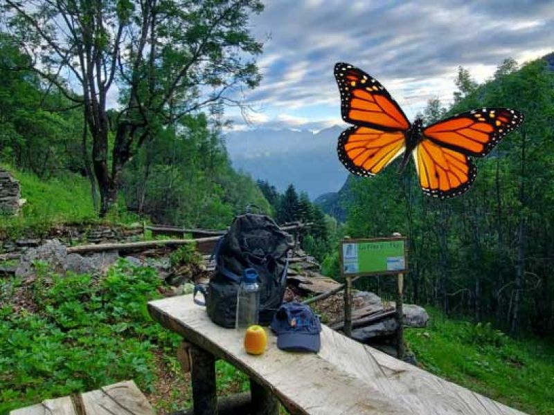 posa d'il fopp e sentiero delle farfalle